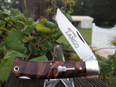 2010 #72 Coppermelt F.JPG