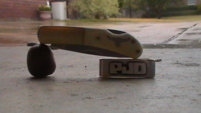 S1230059.JPG
