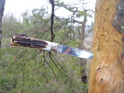 P1000054.JPG