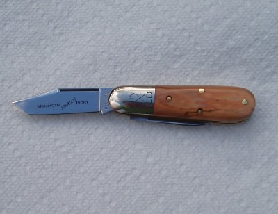 Mammoth Ivory 251211B.JPG
