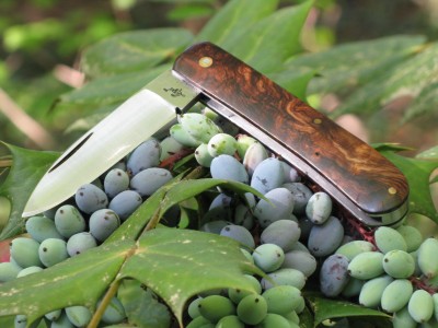 John Lloyd rosewood Shadow