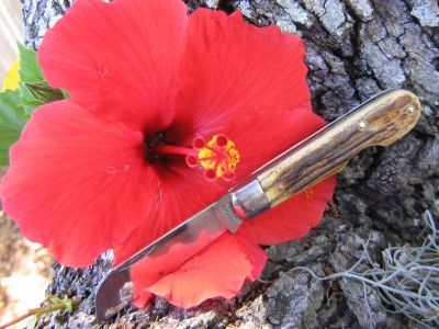 lot5.10.12 027.JPG