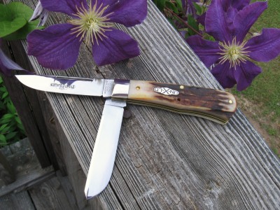Burnt Stag #735210LP Scout f.JPG