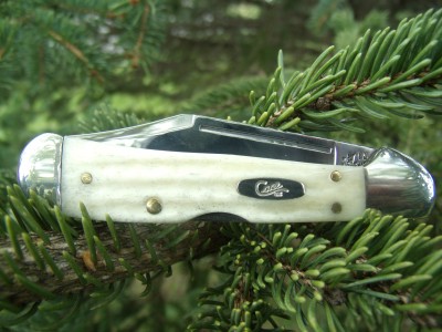 Case 61749 L SS natural bone 005.jpg