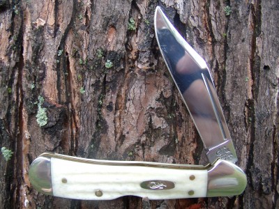 Case 61749 L SS natural bone 002.jpg
