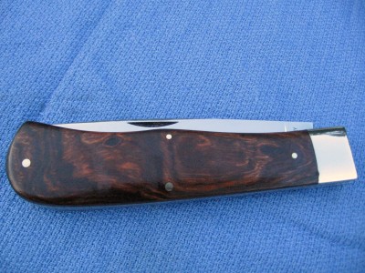 GEC #23 Desert Ironwood.JPG