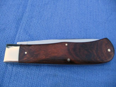 GEC #23 Desert Ironwood (a).JPG