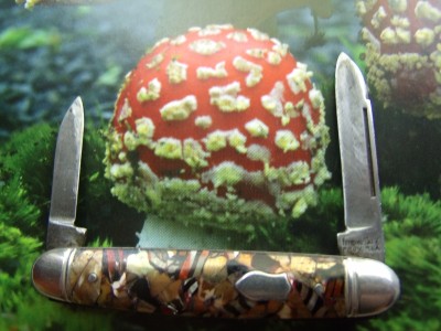 shroom knife 002.jpg