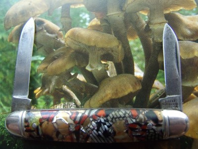 shroom knife 007.jpg