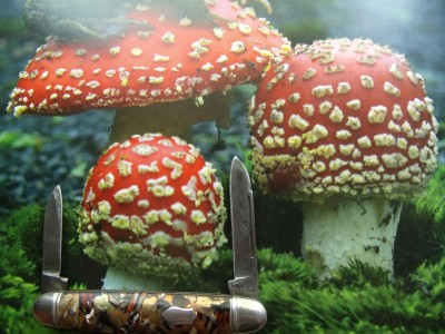 shroom knife 003.jpg