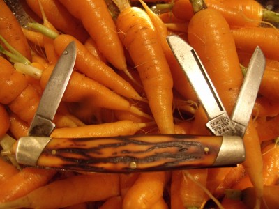carrots 001.jpg