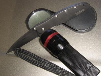 Kershaw Leek 1660 CKT Assisted Open Knife 002.JPG