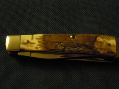 Mastodon Case 002.JPG