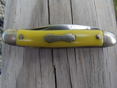 Colonial small yellow stockman 005.jpg