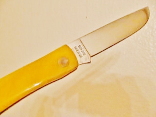 003.JPG