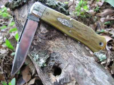 2010 #72 Lockback (EDC).JPG