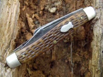 Rome woods 011.jpg