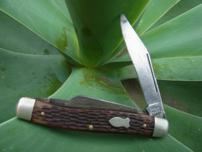 My Old 881.JPG