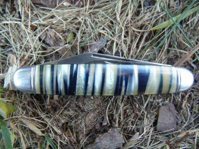 Hammer Blue & Gold tiger stripe 006.jpg