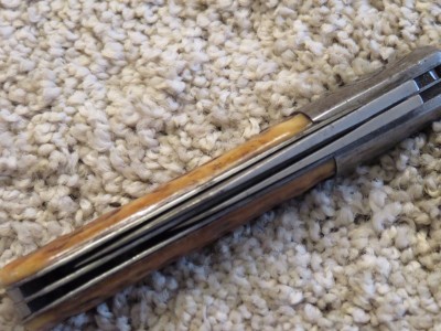 RCC Bone Barlow 6.jpg