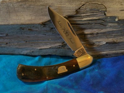Bulldog Saddle Horn.JPG