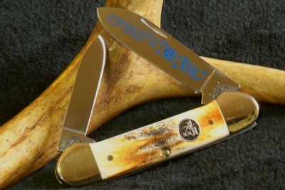 Stag CaseColt  .JPG