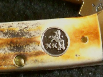Stag CaseColt Shield.JPG