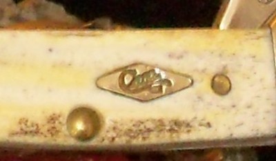 Second Cut Stag Butterbean Shield.JPG