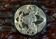 Imperial Scout Shield.jpg