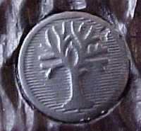 shield4.jpg