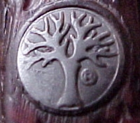 shield6.jpg