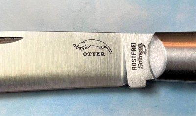 otter 5.jpg