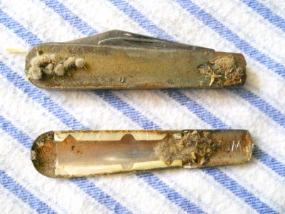 Shell Barlow ''the oyster''.JPG