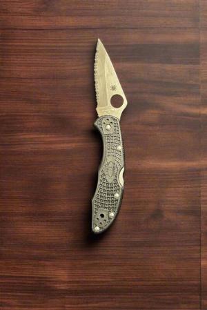 SPYDERCO DELICA 4 