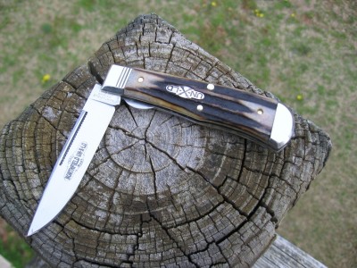 GEC%20Stag[1].jpg