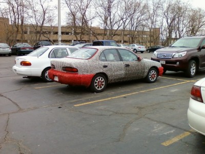 Leopard Car.jpg