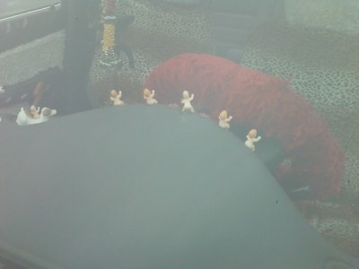 Leopard Car Dash 2.jpg