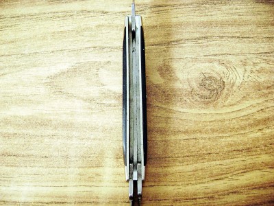 Buck 301 Top View Blade Well.JPG