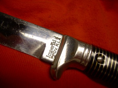 DSCN1021.JPG
