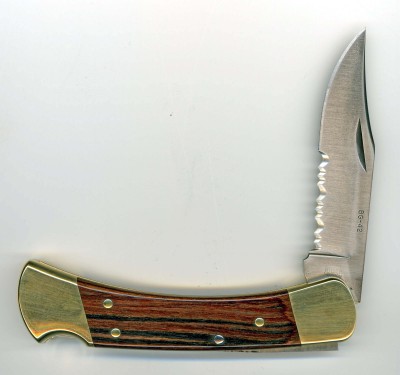 Buck 110 Custom.jpg