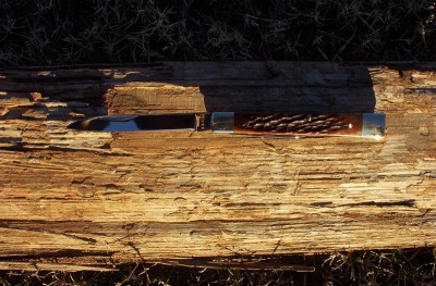 100_4769.jpg