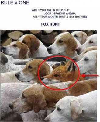 fox hunt.jpg