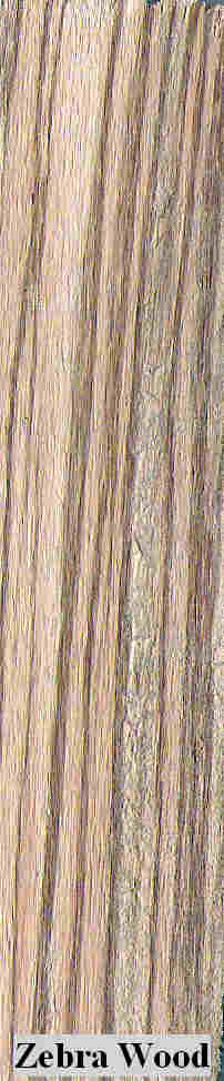 zebra wood.jpg