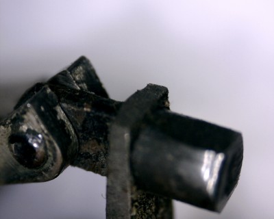 Bonsa Springer Seer Pin (7).jpg