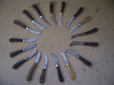 hawklection.jpg