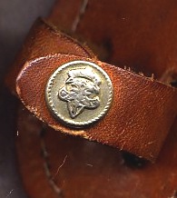 img145.jpg