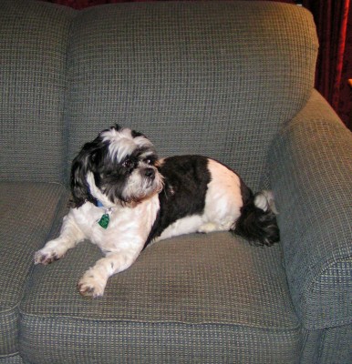 Jake 1-12.jpg