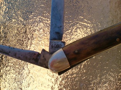 SCHMIDT & ZIEGLER 4033.JPG