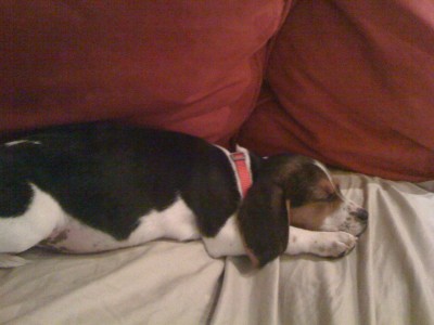 Rilee Jo, Mama's little baby1