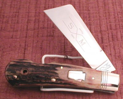 P1010013.JPG